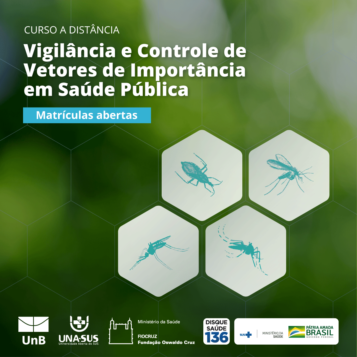 Course Image Vigilância e controle de vetores de importância em saúde pública